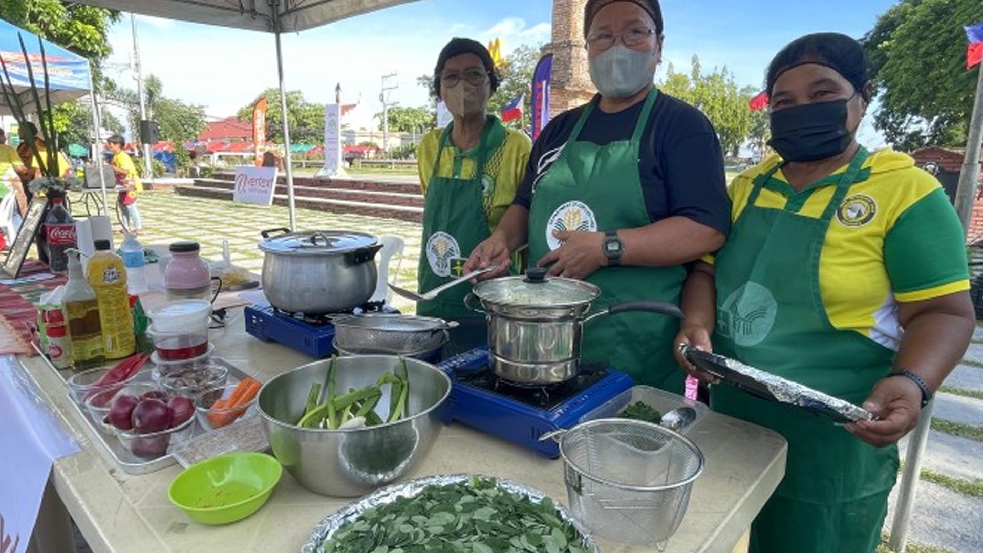 Laoag Cook-Off Highlights Moringa’s Culinary Potential