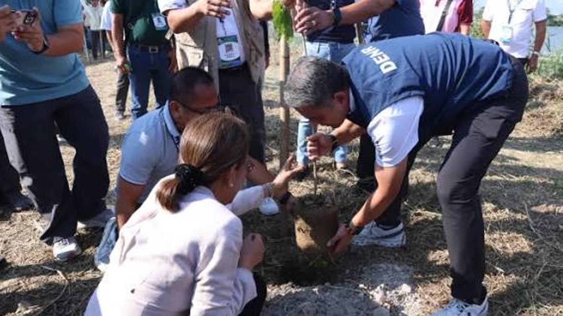 DENR Eyes 3M Trees Nationwide On Arbor Day, Backs Climate Resilience